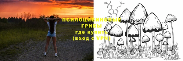 бошки Абаза